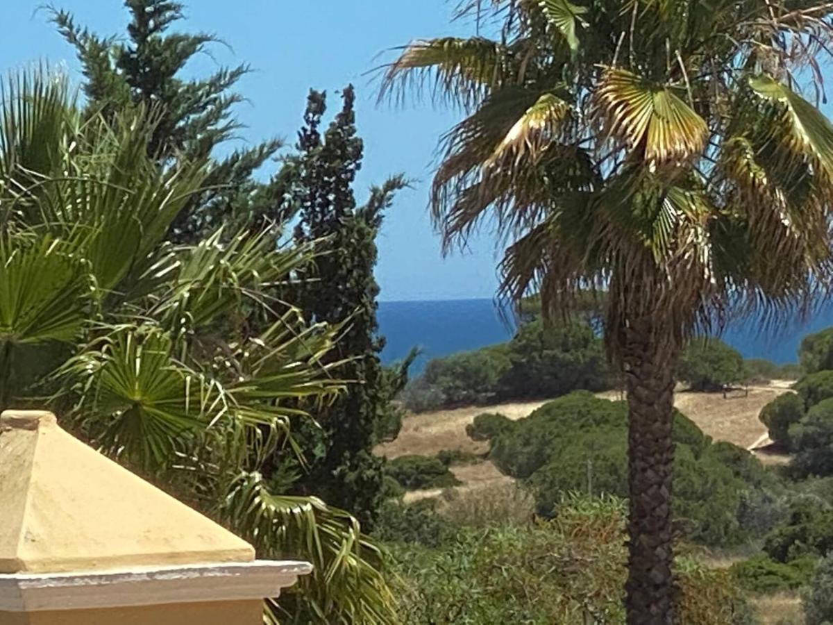 Villa "Oasis"- C Albufeira Eksteriør bilde